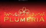 PLUMERIA-プルメリア-