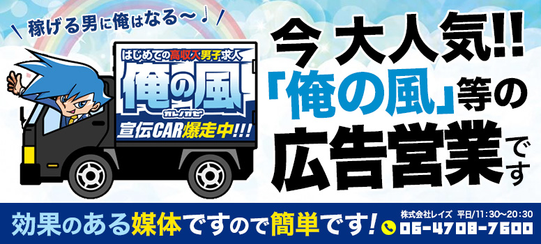 株式会社レイズ