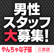 やんちゃな子猫三宮店