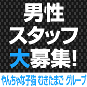 やんちゃな子猫京橋店