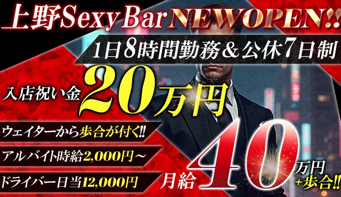 Sexy Bar KOAKUMA