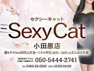 セクシーキャット小田原店