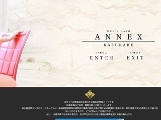 ANNEX