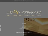 上野DXハイブリッドエステ