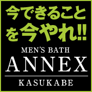 ANNEX