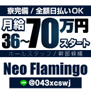 ネオフラミンゴ