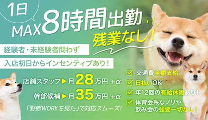 ビデオdeはんど 町田校