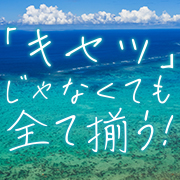 アネックスジャパン