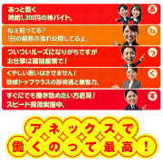 アネックスジャパン