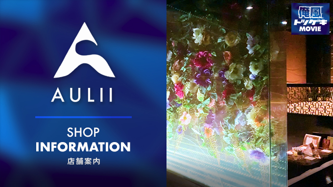 CLUB AULII